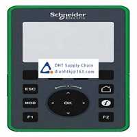 Schneider Electric  TMH2GDB  Original New In STOCK 