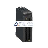 Schneider Electric  BMXDDO1612  Original New In STOCK 