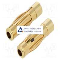 BRYMEN_BM T4S Original New Stock