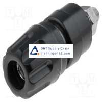 HIRSCHMANN T&M_PKI 10 A SW Original New Stock