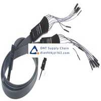 Tektronix_P6316 Original New Stock