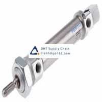 Pneumatic accessories _Festo_DSNU-20-50-PPV-A