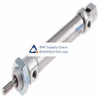 Pneumatic accessories _Festo_DSNU-20-80-PPS-A