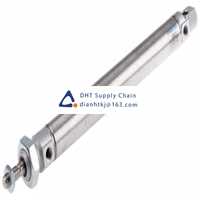 Pneumatic accessories _Festo_DSNU-25-200-PPS-A