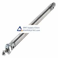 Pneumatic accessories _Festo_DSNU-25-300-PPS-A