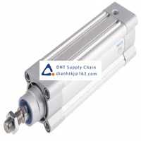 Pneumatic accessories _Festo_DSBC-50-125-PPSA-N3