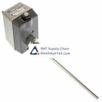 Microswitches and detector switches  Jumo_603021/70-1-043-00-0-00-20-13-46-200-8-6/000