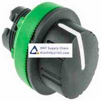 Key switches and selector switches Schneider Electric_ZB5FD59