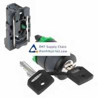 Key switches and selector switches Schneider Electric_XB5AG61