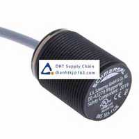 Safety interlock switches and components  Schmersal _BNS 303-11ZG 2,0M