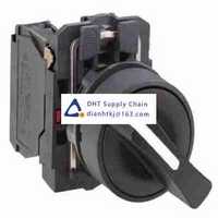 Key switches and selector switches Schneider Electric_XB5AD41