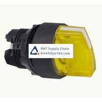 Key switches and selector switches Schneider Electric_ZB5AK1383