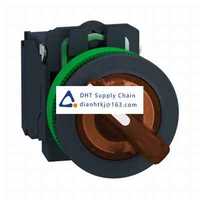 Key switches and selector switches Schneider Electric_XB5FK125B5