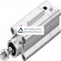 Pneumatic accessories _Festo_DSBF-C-40-160-PPVA-N3-R