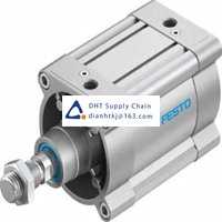 Pneumatic accessories _Festo_DSBC-125-50-PPVA-N3