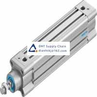 Pneumatic accessories _Festo_DSBC-40-160-D3-PPVA-N3
