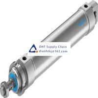 Pneumatic accessories _Festo_DSNU-50-200-P-A