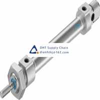 Pneumatic accessories _Festo_DSNU-8-50-P-A