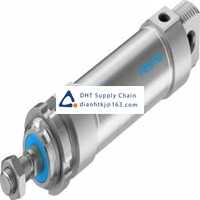 Pneumatic accessories _Festo_DSNU-50-80-P-A