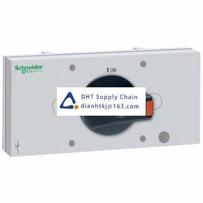 Disconnector and components Schneider Electric_VLS8M1