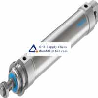 Pneumatic accessories _Festo_DSNU-50-200-PPV-A