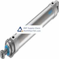 Pneumatic accessories _Festo_DSNU-50-250-PPV-A