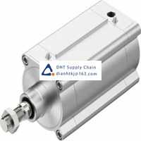Pneumatic accessories _Festo_DSBF-C-125-400-PPVA-N3-R