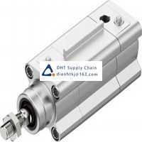 Pneumatic accessories _Festo_DSBF-C-63-400-PPVA-N3-R