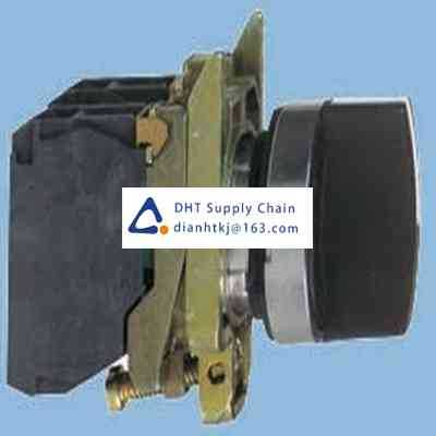 Key switches and selector switches Schneider Electric_XB4BD33