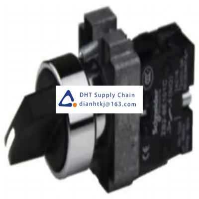 Key switches and selector switches Schneider Electric_XB2BJ21C