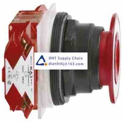 Pushbutton switches and components Schneider_9001SKR9R