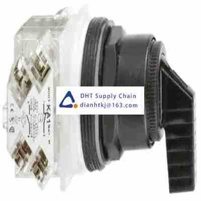 Key switches and selector switches Schneider_9001SKS11BH13