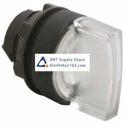 Key switches and selector switches Schneider_ZB5AK1313