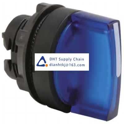 Key switches and selector switches Schneider_ZB5AK1363