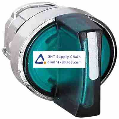 Key switches and selector switches Schneider Electric_ZB4BK1833