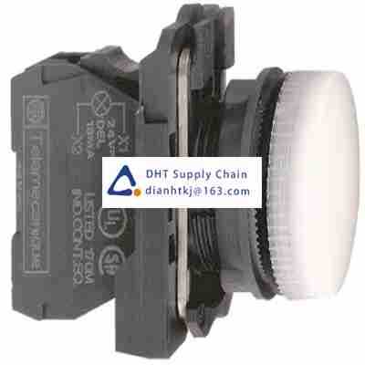 Pushbutton switches and components Schneider Electric_XB5AVG1
