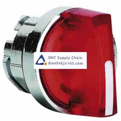 Key switches and selector switches Schneider_ZB4BK1443