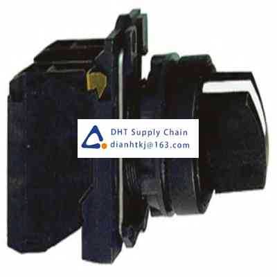 Key switches and selector switches Schneider Electric_XB5AD33C