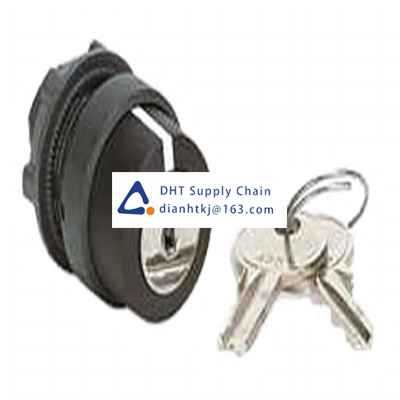 Key switches and selector switches Schneider Electric_ZB5AG2C