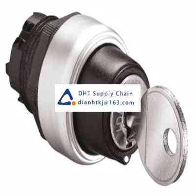 Key switches and selector switches Lovato_LPCS330