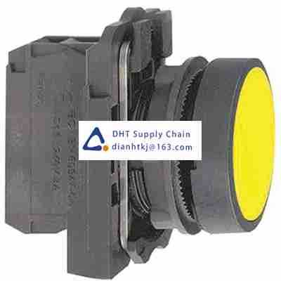 Pushbutton switches and components Schneider Electric_XB5AA51