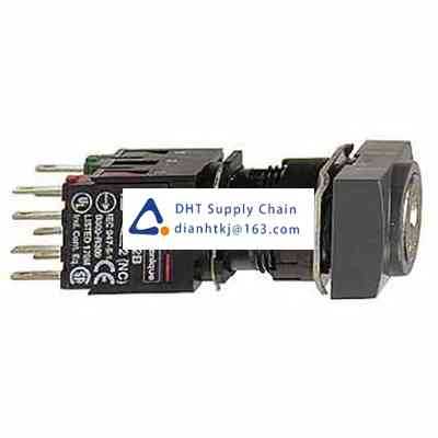 Key switches and selector switches Schneider Electric_XB6DGC5B