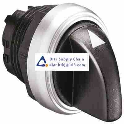 Key switches and selector switches Lovato_LPCS133