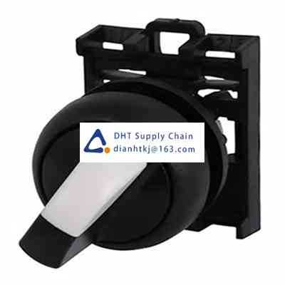 Key switches and selector switches Eaton_216875 M22S-WKV