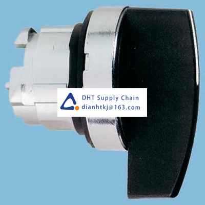 Key switches and selector switches Schneider_ZB4BJ4