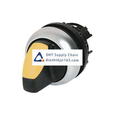 Key switches and selector switches Eaton_216829 M22-WRLK-Y