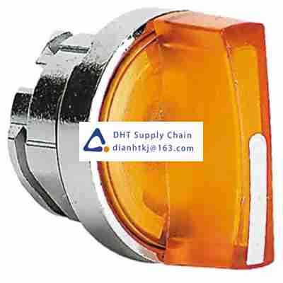 Key switches and selector switches Schneider_ZB4BK1753