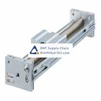 Pneumatic accessories _SMC_CY1SG10-100Z