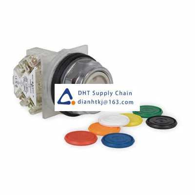 Pushbutton switches and components Schneider Electric_9001KR1UH13