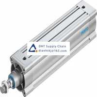 Pneumatic accessories _Festo_DSBC-80-300-PPSA-N3